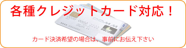 各種クレジット決済対応可能