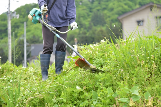 岡山市で草刈りに最適な年3回の時期～楽に草刈りを終えるコツまで徹底解説