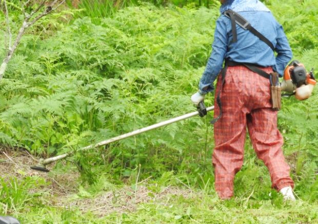 岡山市で草刈りにかかる料金相場は？追加料金や業者選びのコツまで解説