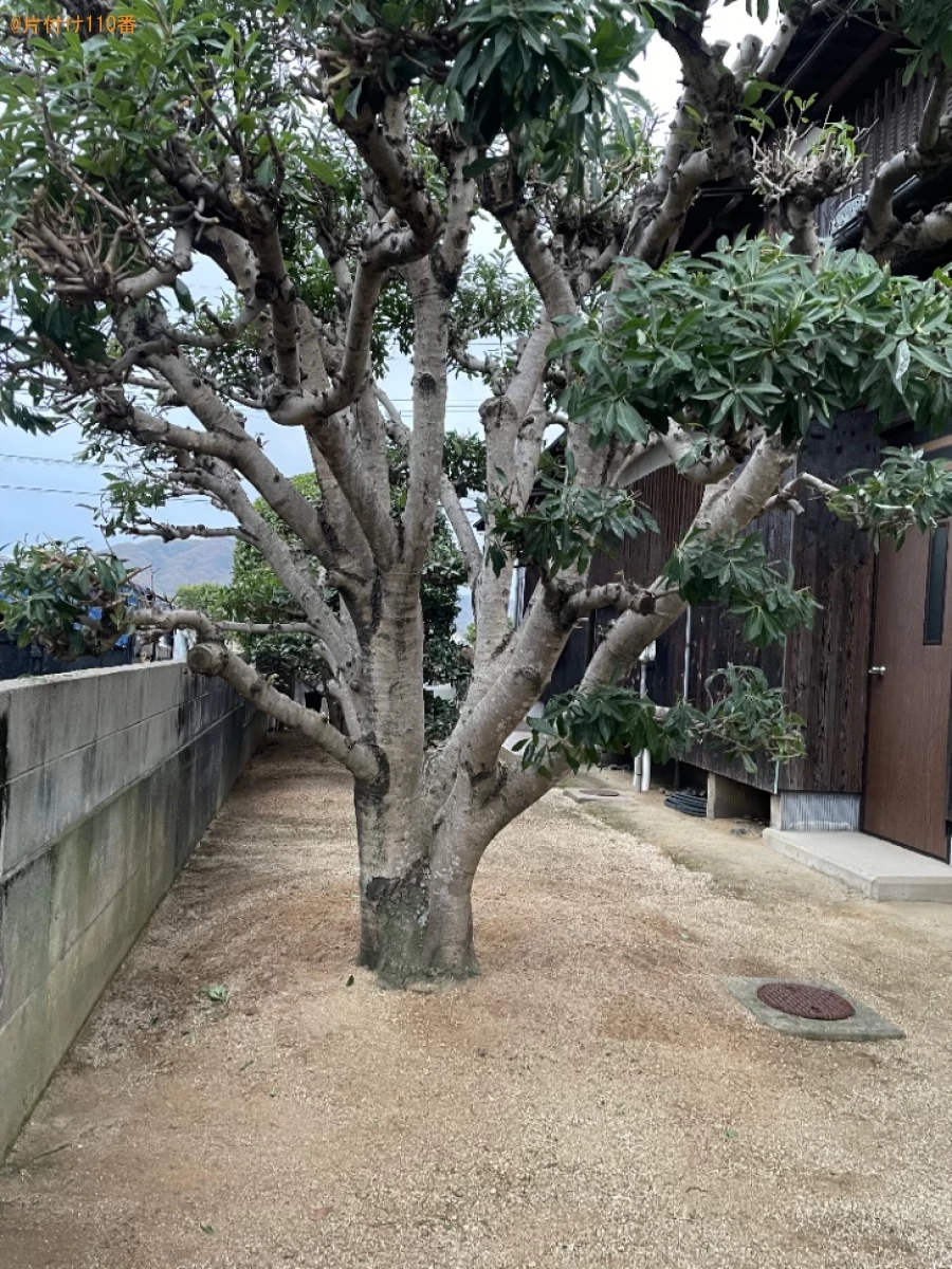 【岡山市南区】木の剪定・伐採ご依頼　お客様の声