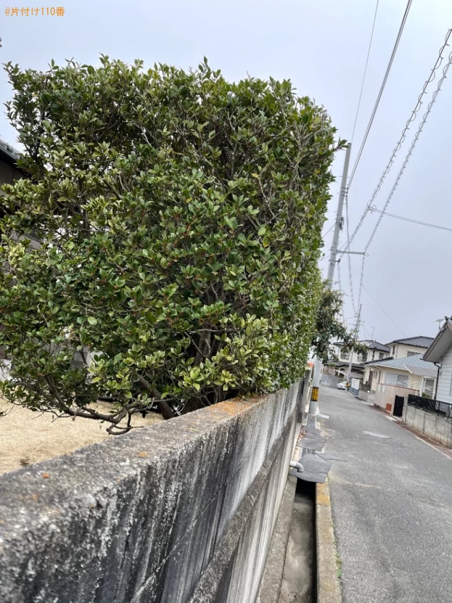 【岡山市南区】木の剪定・伐採ご依頼　お客様の声