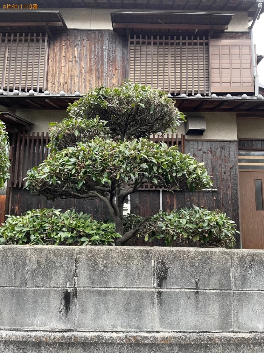 【岡山市南区】木の剪定・伐採ご依頼　お客様の声