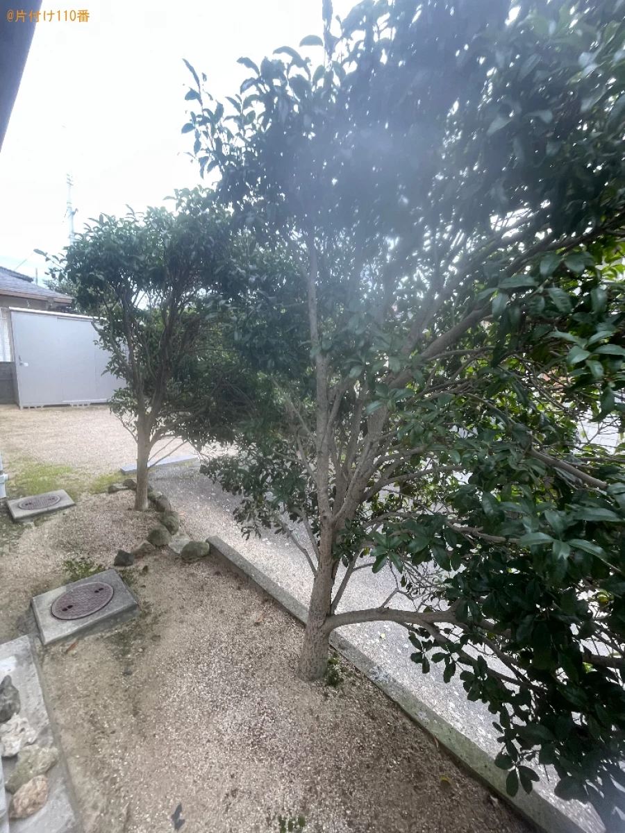 【岡山市南区】木の剪定・伐採ご依頼　お客様の声