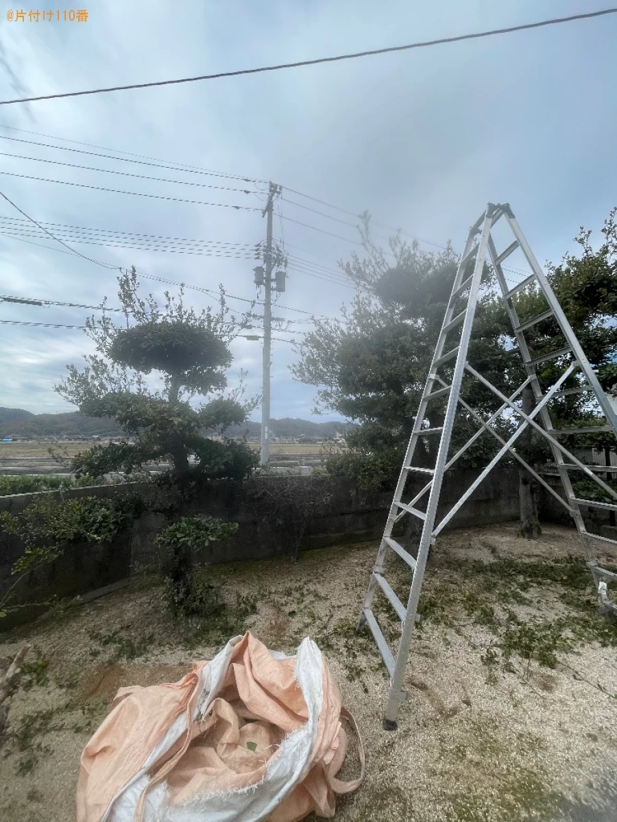 【岡山市南区】木の剪定・伐採ご依頼　お客様の声