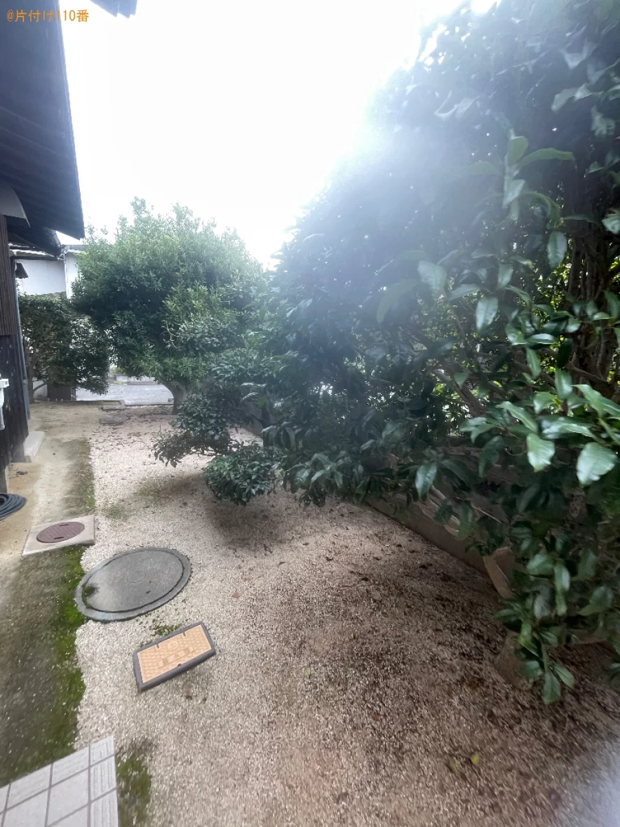 【岡山市南区】木の剪定・伐採ご依頼　お客様の声