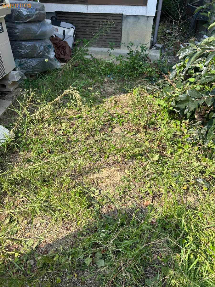 【岡山市南区】折れてしまった柿の木の伐採と回収・処分ご依頼