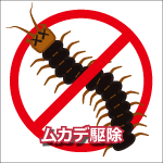 ムカデ(ヤスデ)駆除