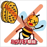 ミツバチ駆除