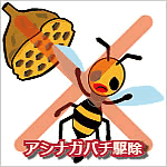 アシナガバチ駆除
