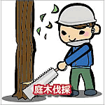庭木伐採