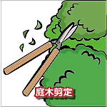 庭木剪定